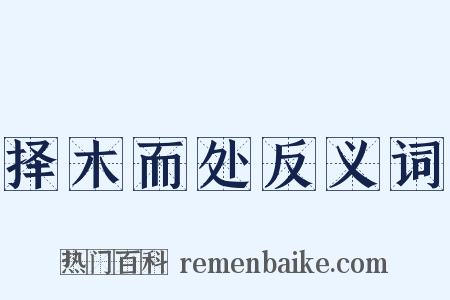 择木而处反义词是什么意思的图片